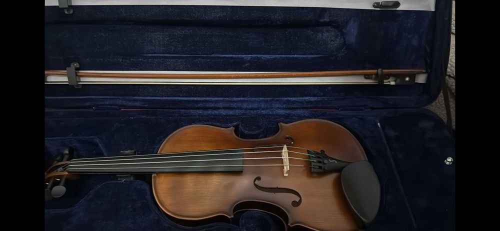 Viola d'arco 14"