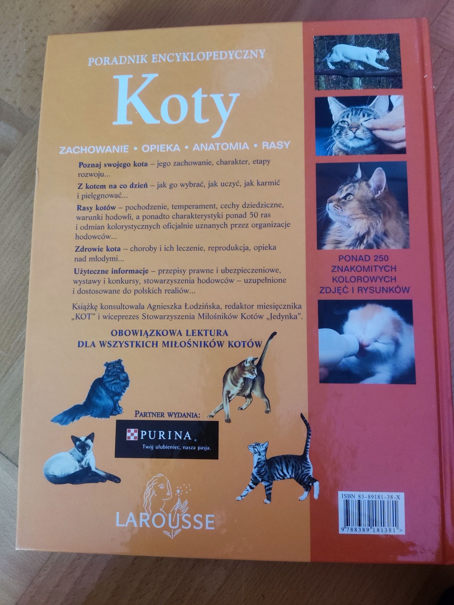 Koty. Poradnik encyklopedyczny.