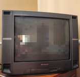 Телевізор Sharp 21EM3G робочий
