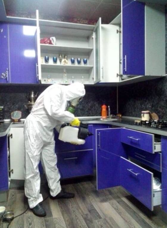 Профессиональное уничтожение насекомых и грызунов
