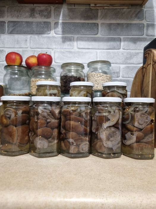 Grzyby suszone I marynowane opieńki Borowik Rydze Podgrzybek