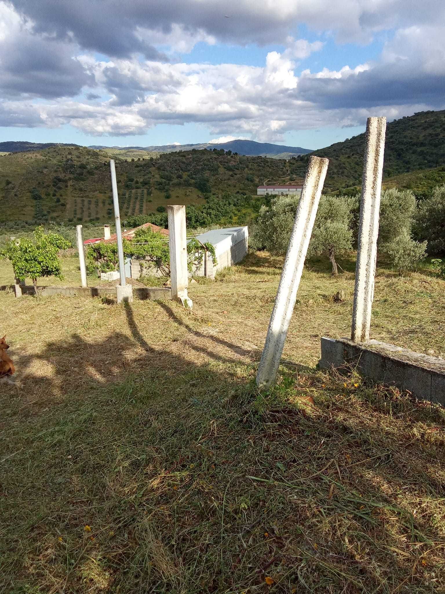 Terreno para construção a 5km de Mirandela.