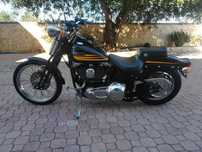 Harley davidson bad boy springer