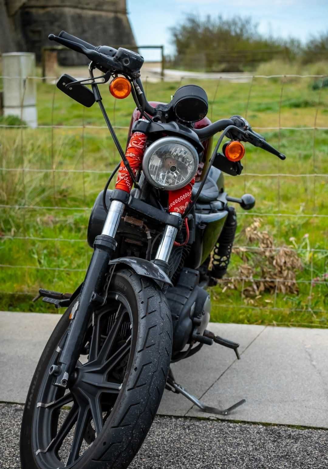 Harley Davidson Iron 883 (XL 883N) de 2017 disponível para venda.
