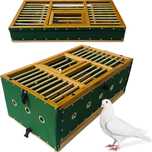 Kosz transportowy dla gołębi składany 80 X 42 X 23 CM duży zielony