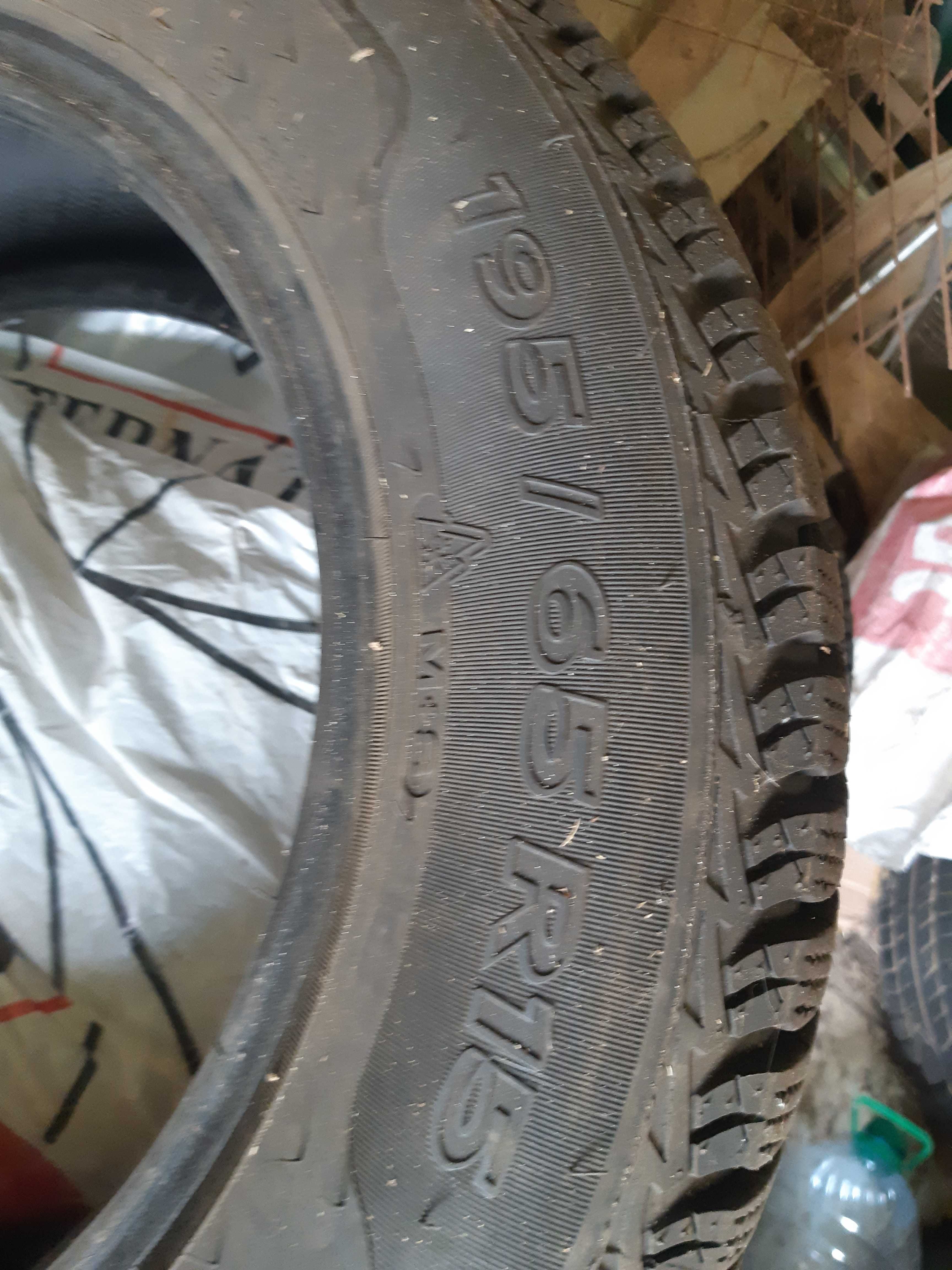 Sava Eskimo Ice 195/65 R15