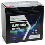 Акумулятор для ДБЖ/інвертора Longttech LiFePO4 12.8V 100Ah