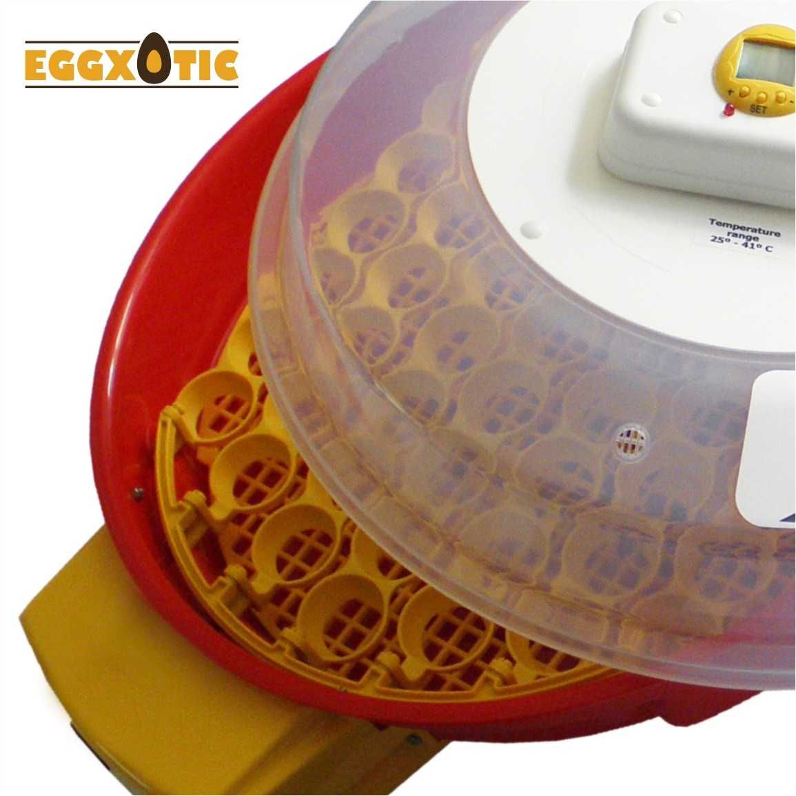 Chocadeira Automática - Galinhas, Aves Exóticas e Reptéis