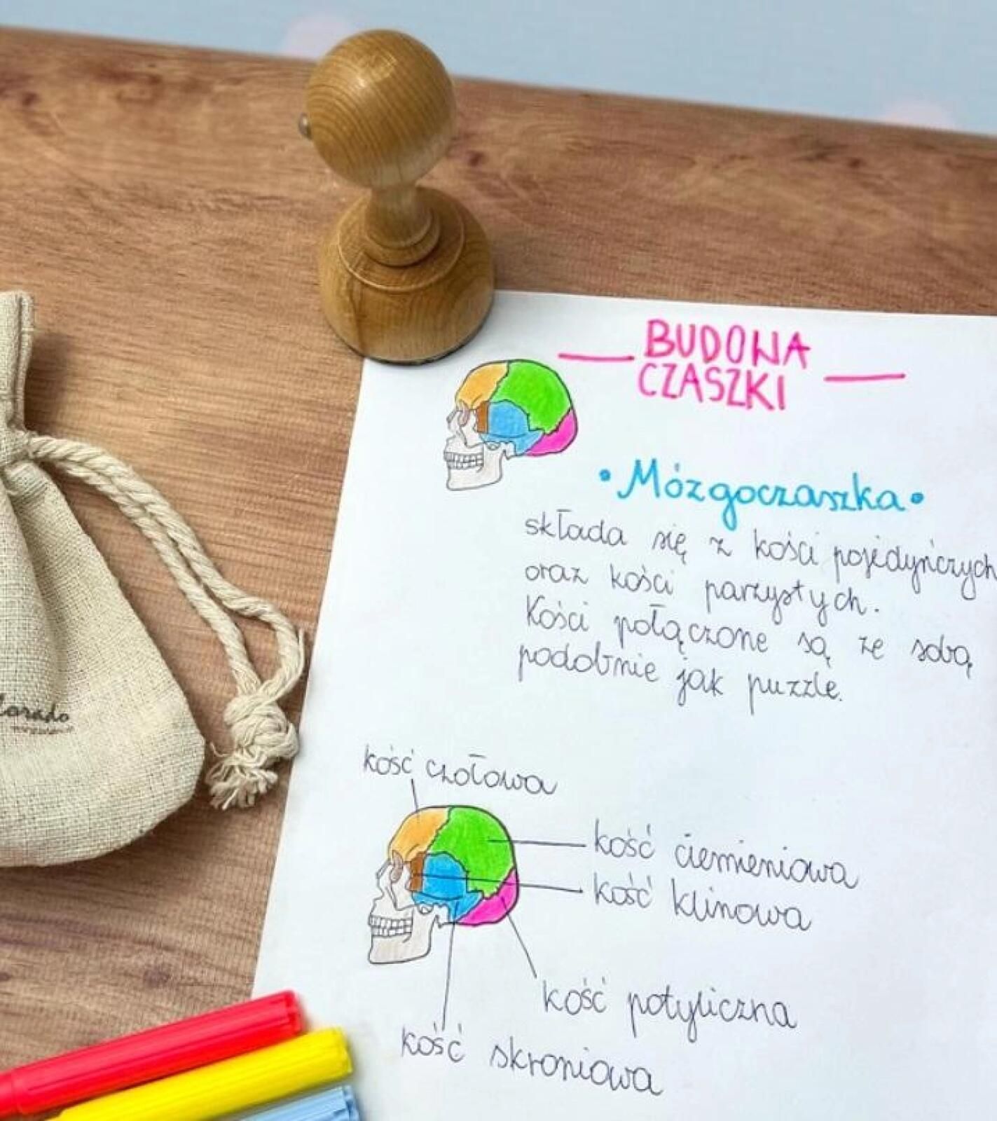 Stempel mózgoczaszka Colorado siatka,