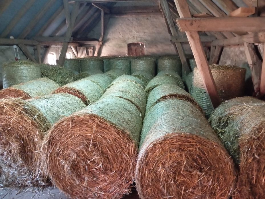 Słoma  w balotach