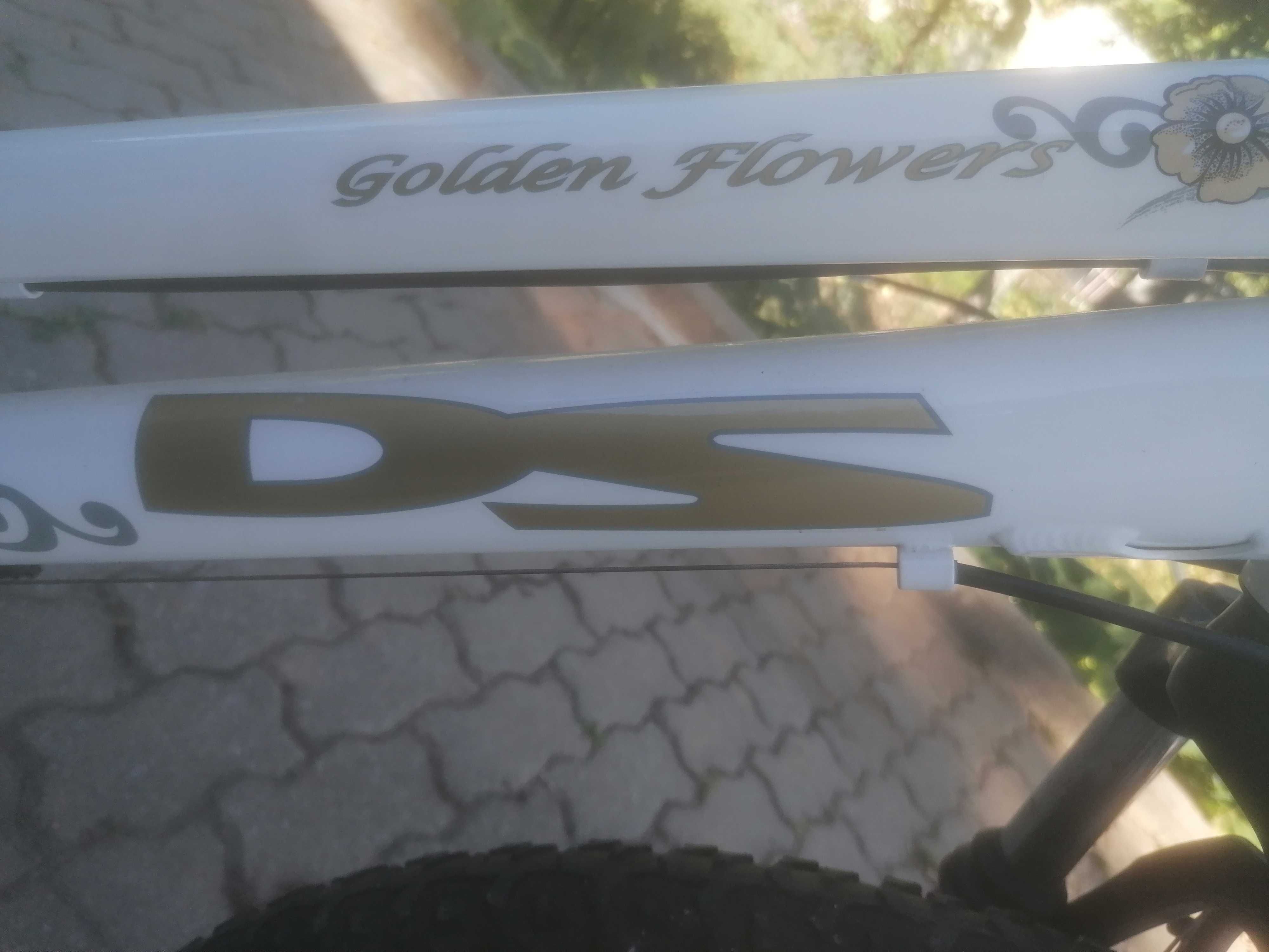 Bicicleta DS GOLDEN