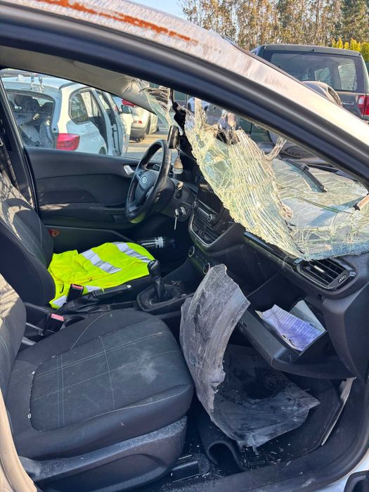 FORD FIESTA 2019 Gasolina