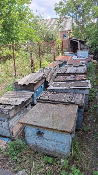 Вулики - лежаки  та рамки бувші у використанні