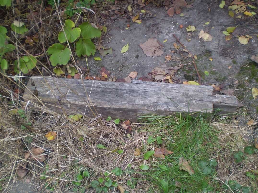 Дубові колоди дубові бревна дубові лаги дубові стовпи морений дуб