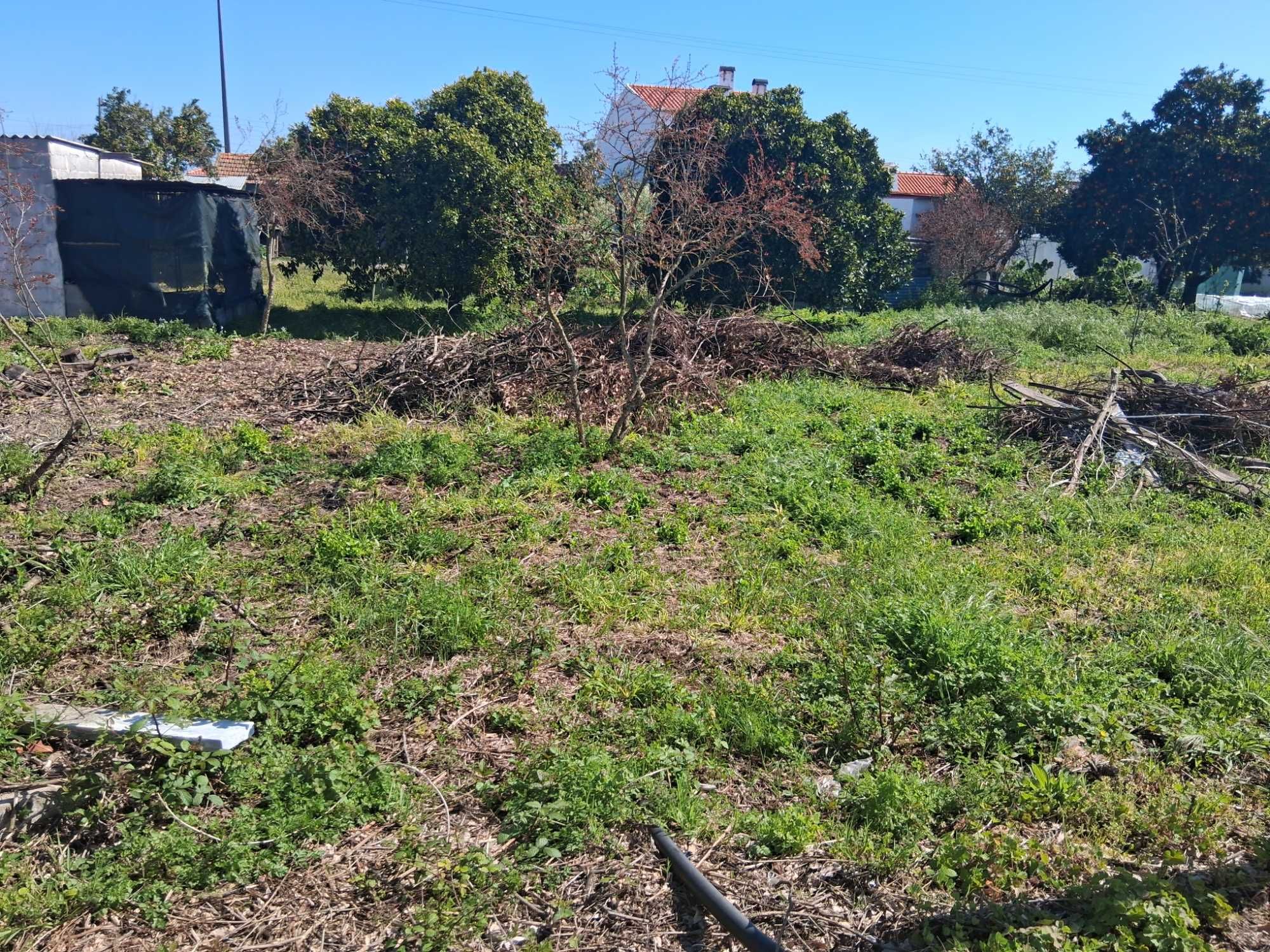 Casa térrea t3 com terreno garagem e anexos