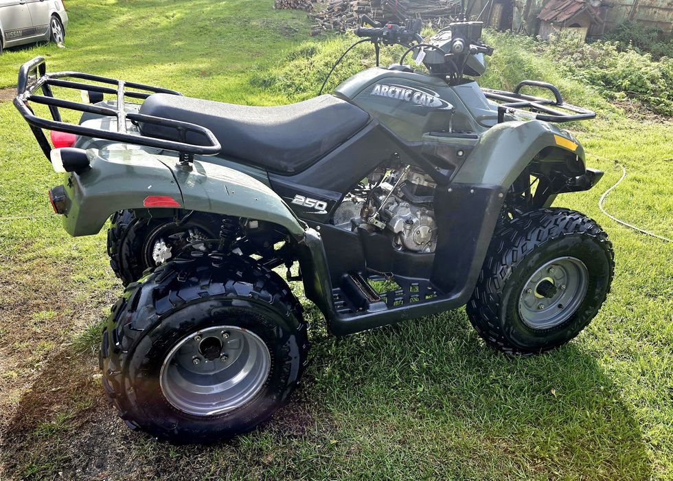 Arctic cat 250cm