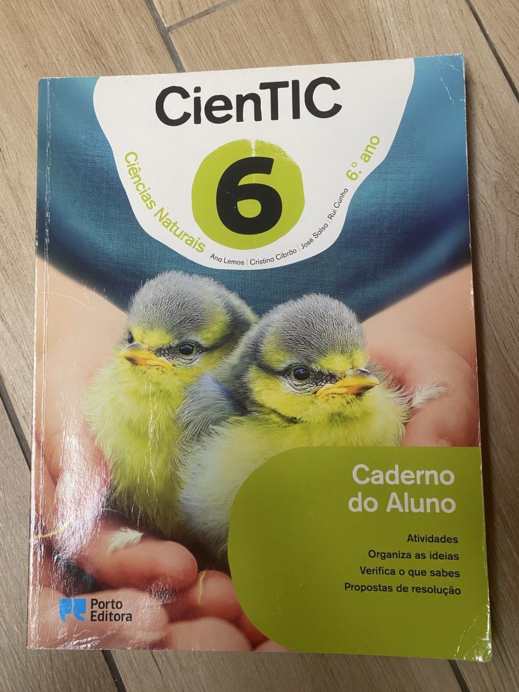 Caderno atividades 6 ano usado bom estado