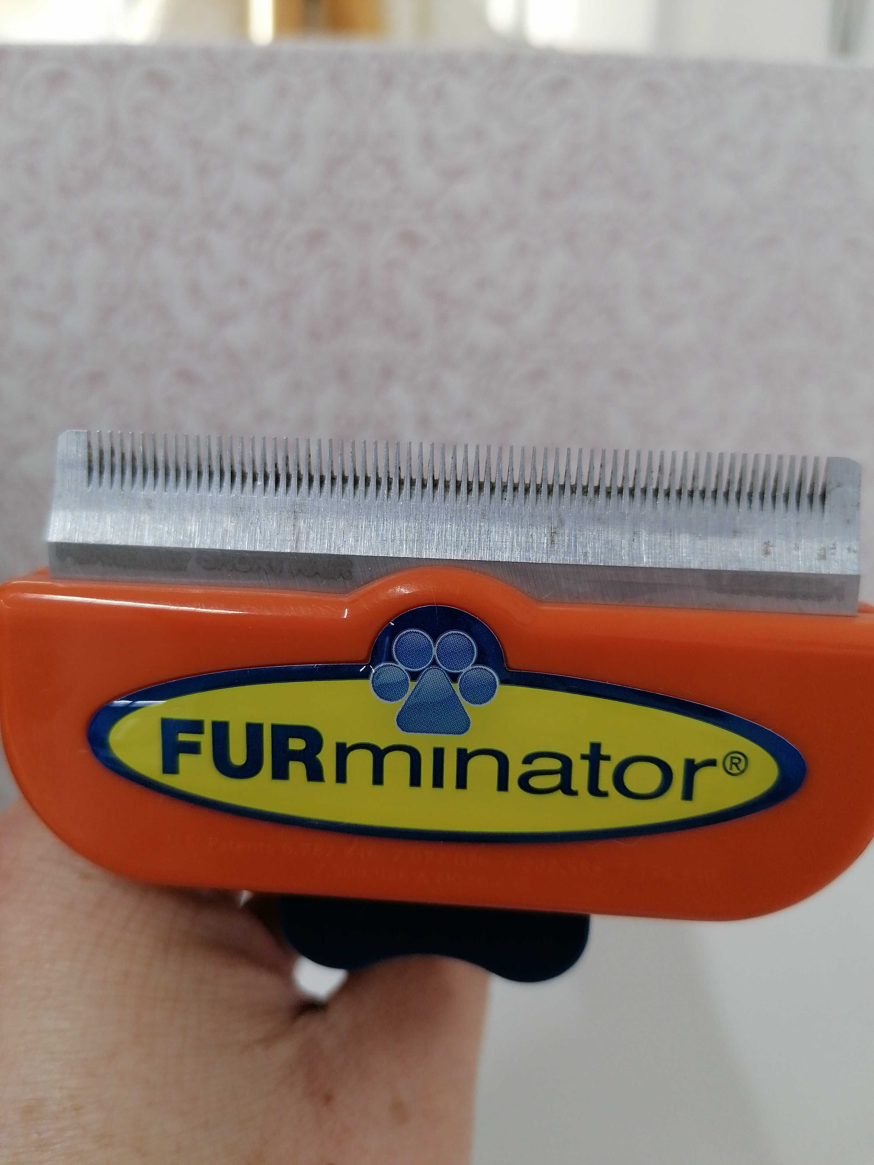 Escova Cão Pêlo Curto Furminator