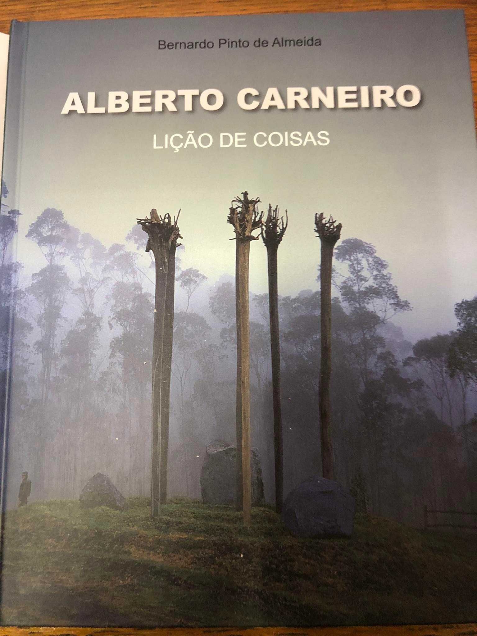 Alberto Carneiro - Lição de Coisas de Bernardo Pinto de Almeida