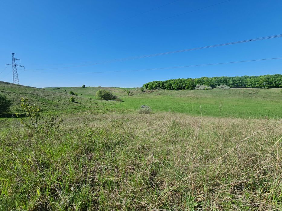 Продаж 14га землі, мальовнича Балка Хорватка, Кулибаба, 32км від Києва