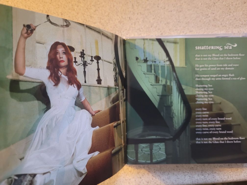 CD Tori Amos Night and Hunters 2011 DG