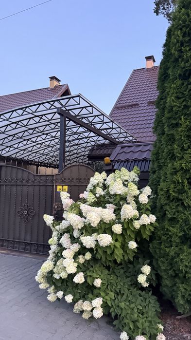 Оренда якісного дуплекса в Лісовій Бучі, вул. Тургенєва