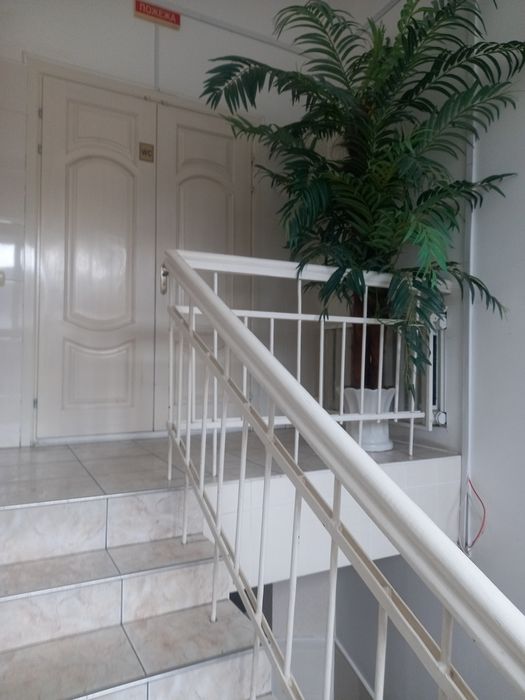 Здам офіс в центрі міста без комунальних послуг