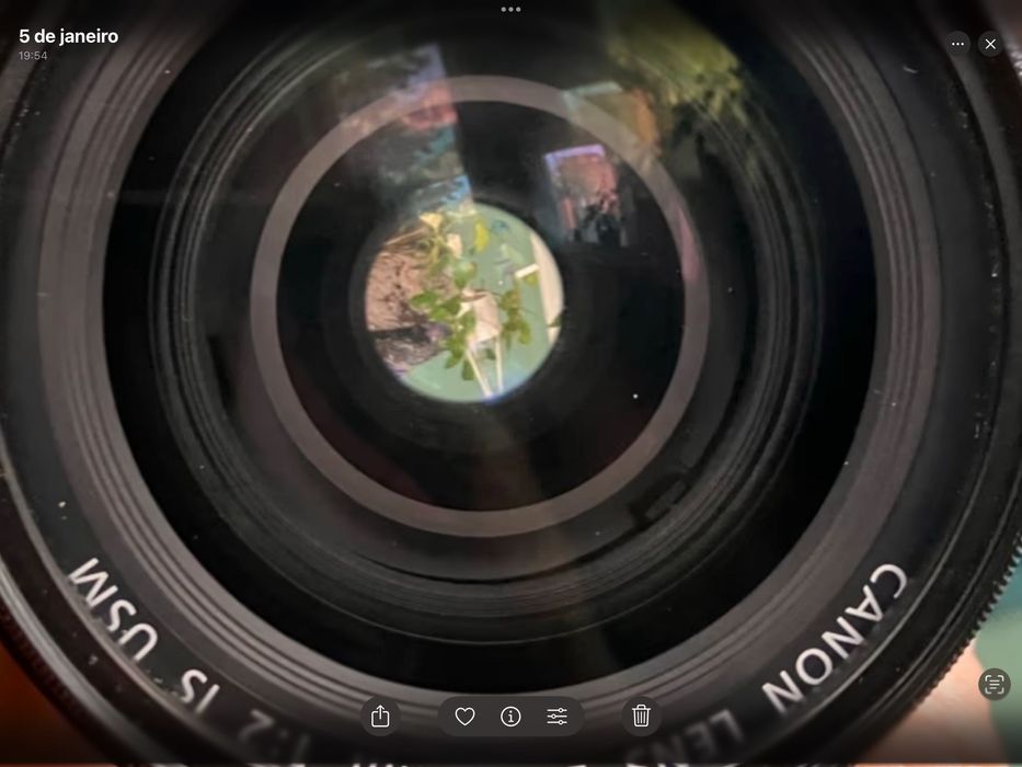 Canon 35mm f2.0 IS Como Nova