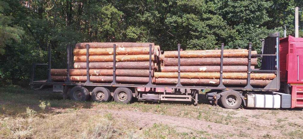 Сосновый кругляк 4-6м сорт С — доставка Харьков и область