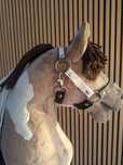 Kantar regulowany Little Horses