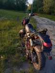 Suzuki street magic ad50