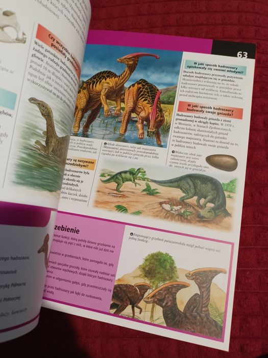 Encyklopedia dla ciekawskich