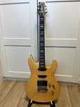 Framus Diablo Custom, super strat, (nie Fender, Ibanez, Charvel)