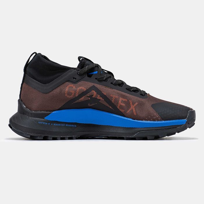Кросівки Nike Pegasus Trail 4 Gore-Tex Premium Brown/Blue