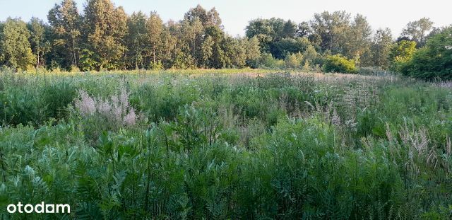 Lub na Siedzibę Firmy obok Biedronki Mysłowice