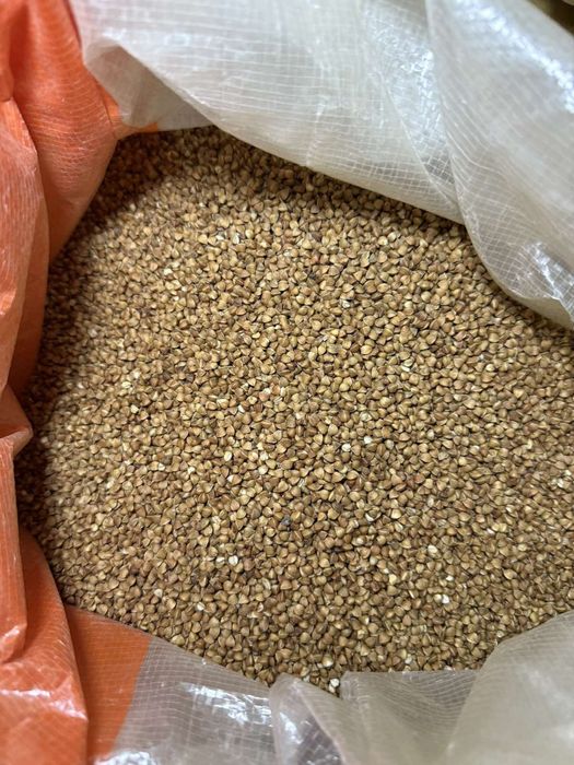 Чечевиця червона ,зелена, Гречка зелена та жарена Рис