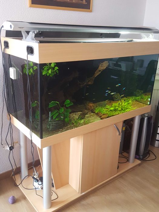 Aquario 560 Litros e movel