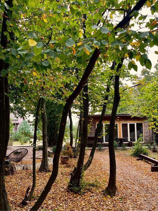 Оренда будинка подобово, будинок київська обл, аренда дома посуточно