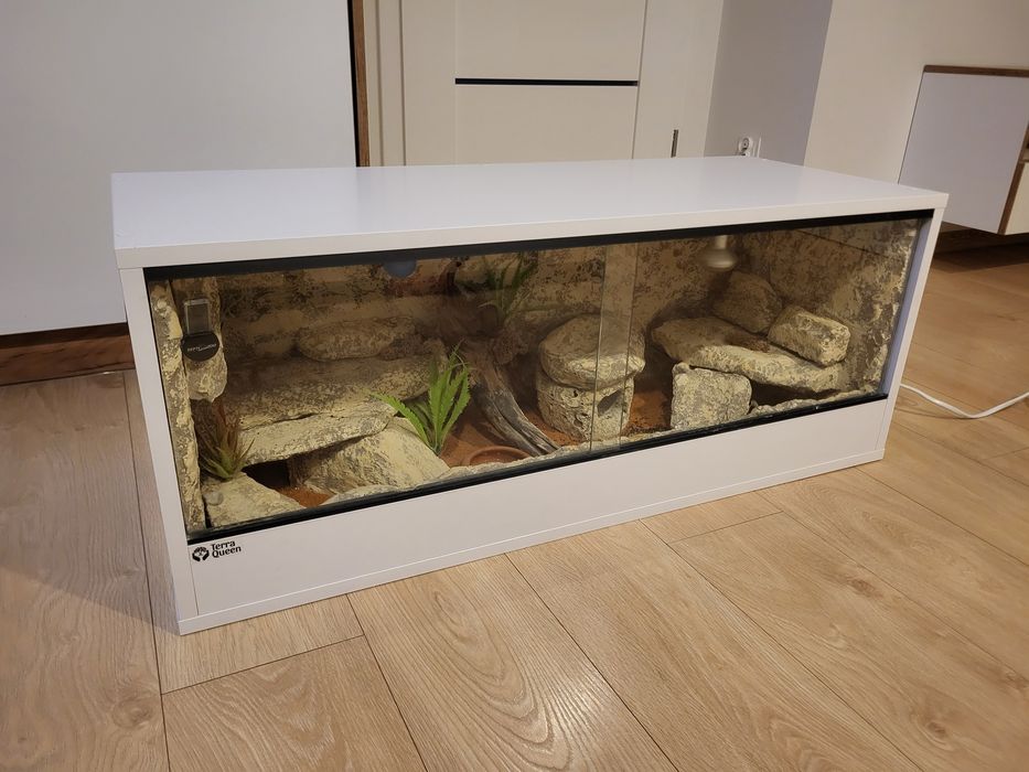 Terrarium dla gekona