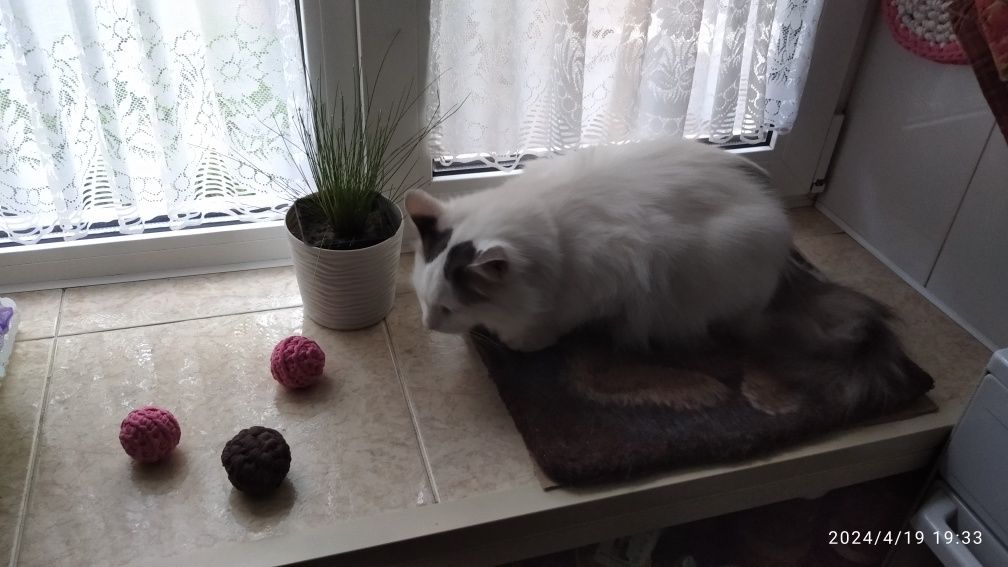 М'ячик . Іграшка для  кота , собачки , домашньої  тваринки