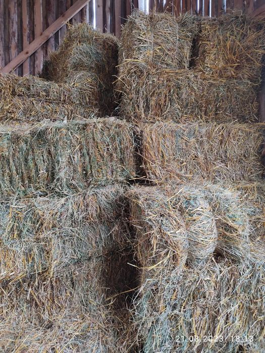 Продам ТЮКИ сіно лугове