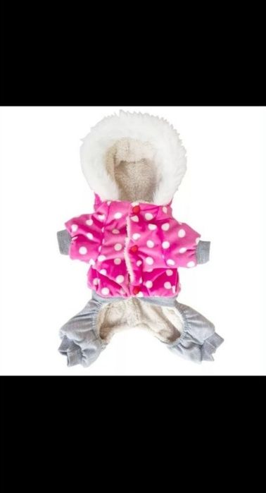 Комбінезон для собачки