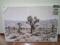 Quadro deserto Mojave