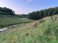Sikorzyno: uzbrojona działka 3632 m² w malowniczej okolicy