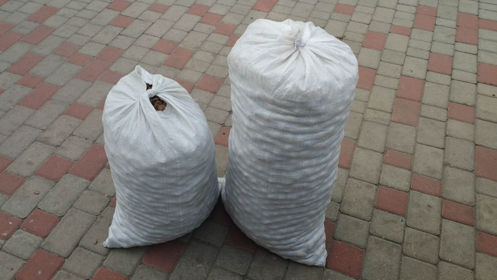 Продам горіх волоський в шкаралупі