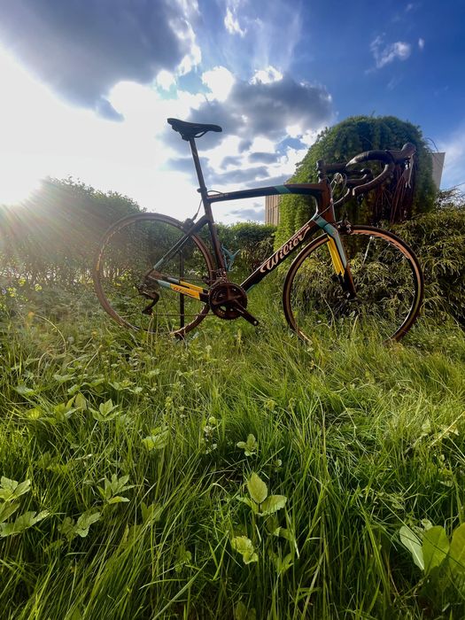 Szosa wilier trestina gtr
