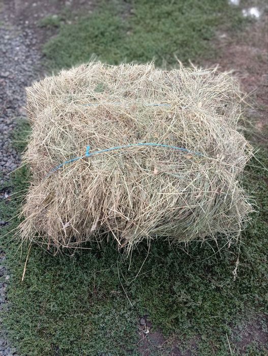 Сіно різнотрав'я