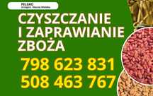 Czyszczenie i zaprawianie zboża (z dojazdem)