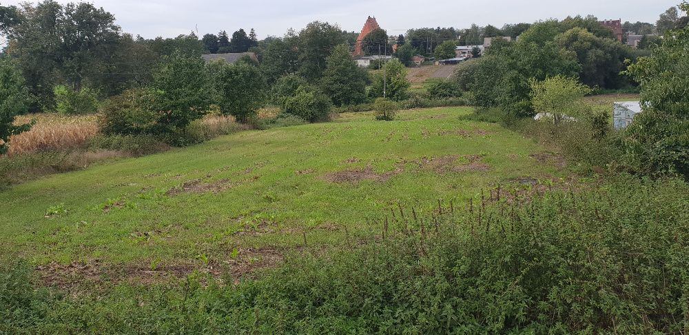 Działka budowlana siedliskowa 4500m2 Gębice k. Mogilna uzbrojona