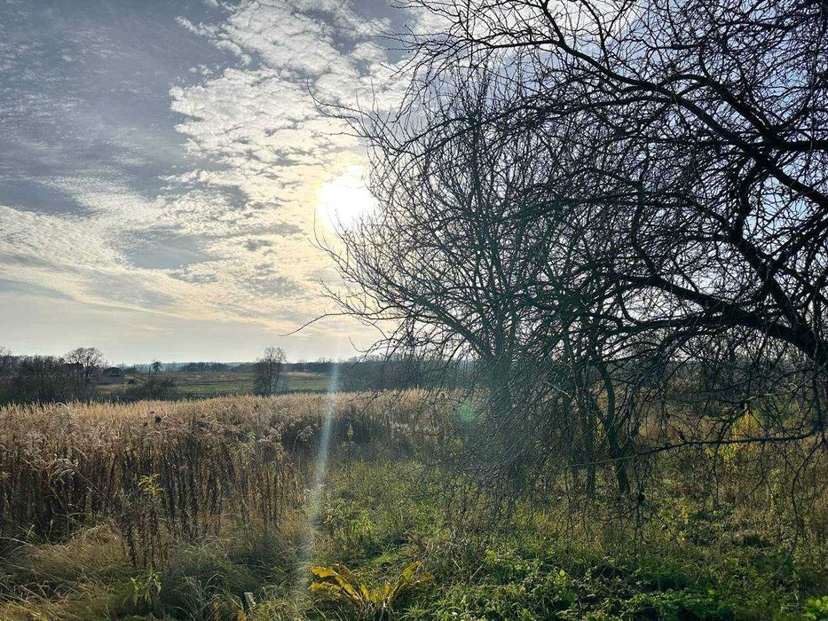 Продаж ділянки в центрі с.Микуличі. 32 сотки. Заведено світло.ID:88